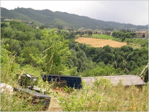 Seismic Data acquired by Temporary microseismic network for the Cavola 2004 experiment (CAVOLA-04-TMN) - Italy